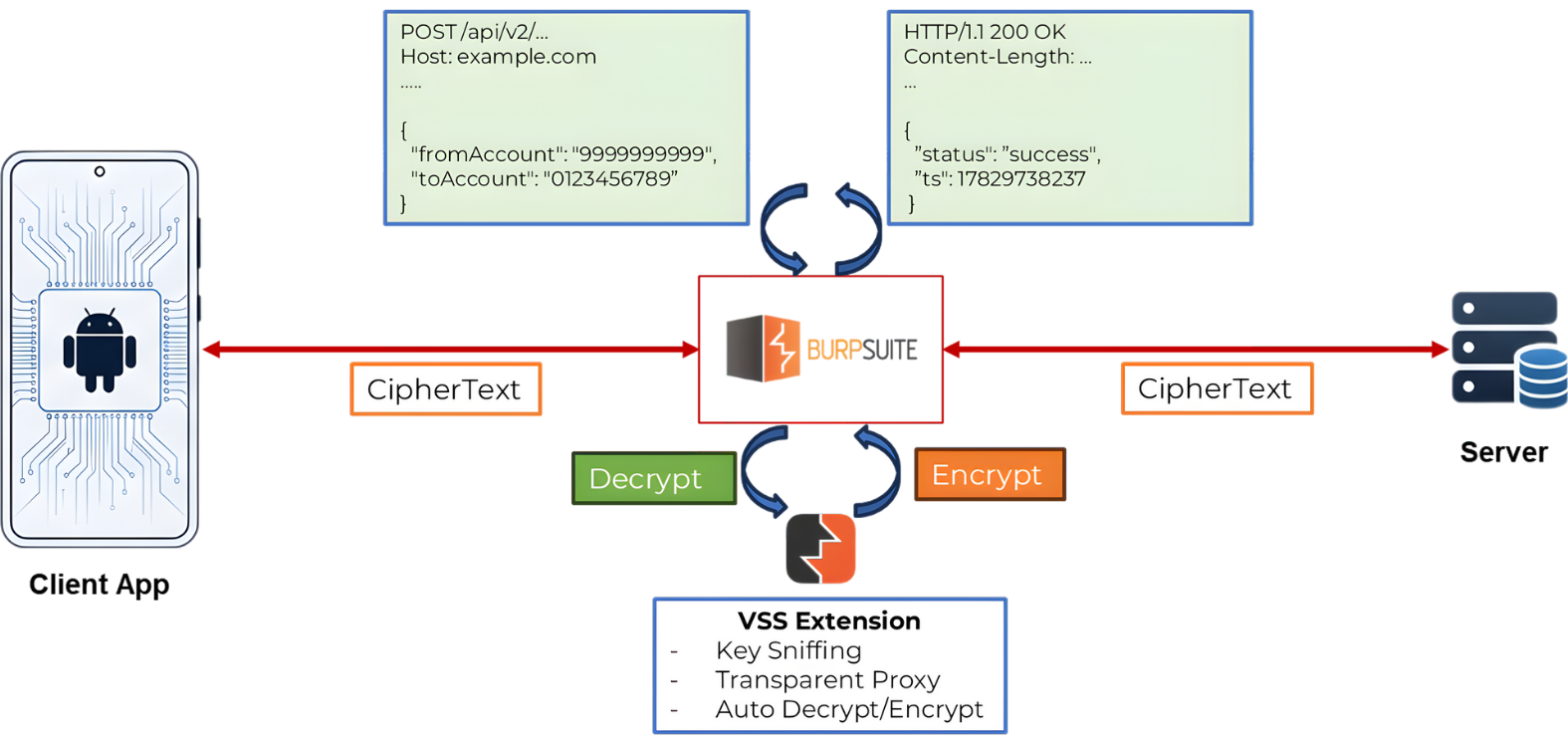 Burp Suite Extension 