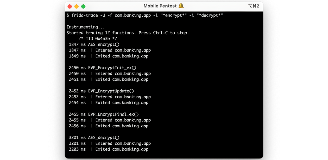 mobile pentest