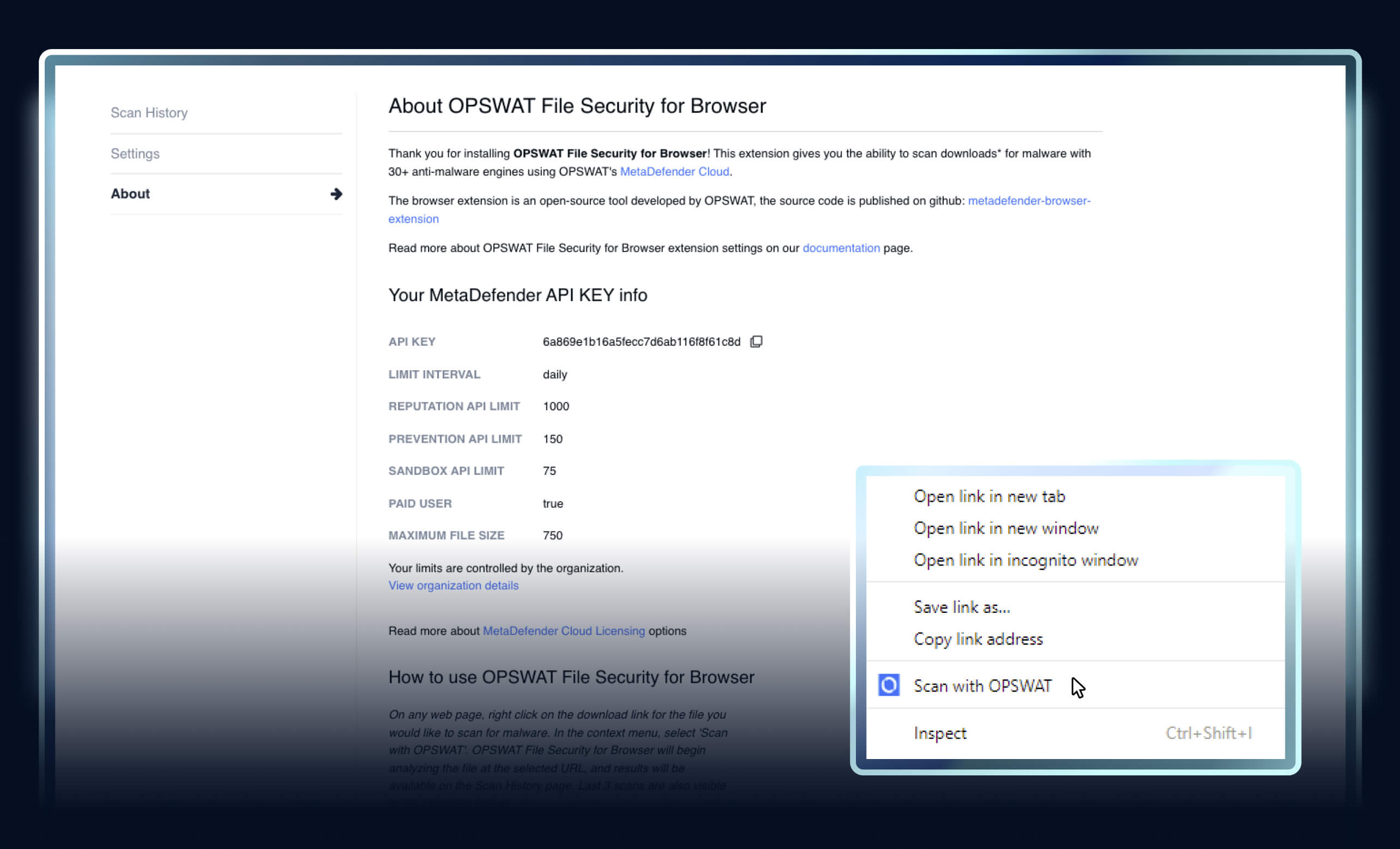 About (Thông tin) - Giao diện người dùng của OPSWAT File Security for Browser